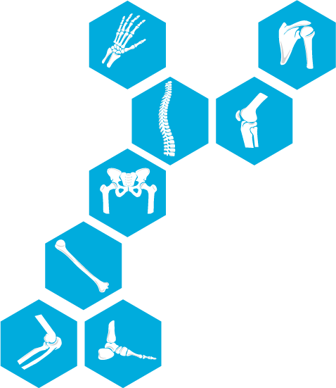 膝・肩・股関節などの骨のイメージイラスト